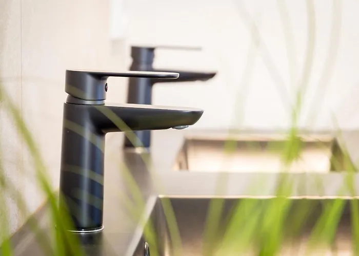 Living Timeless- Europa Park Апартаменты Райнхаузен